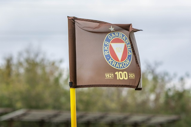 不是决策的 不是决策的