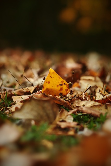 透过案例分 透过案例分