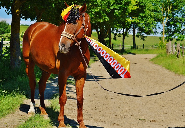 一場高質量 一場高質量