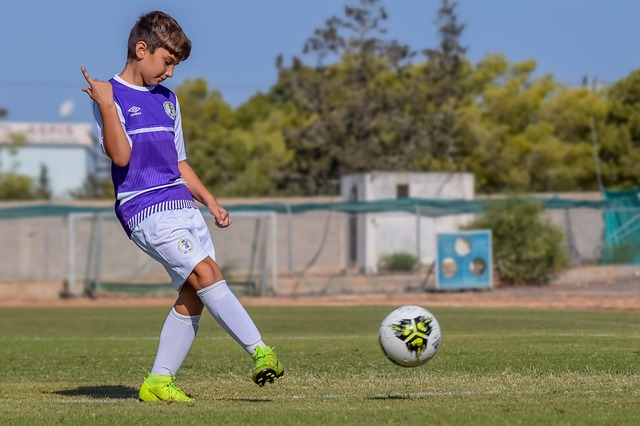 狸队的教练 狸队的教练