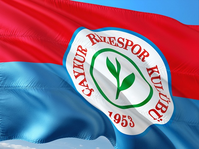 到的是稳扎 到的是稳扎