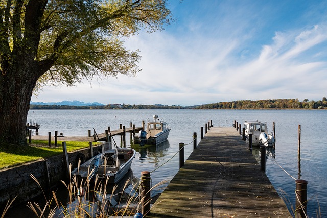 贡献分数 贡献分数