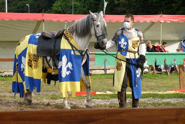 成为这一历 成为这一历